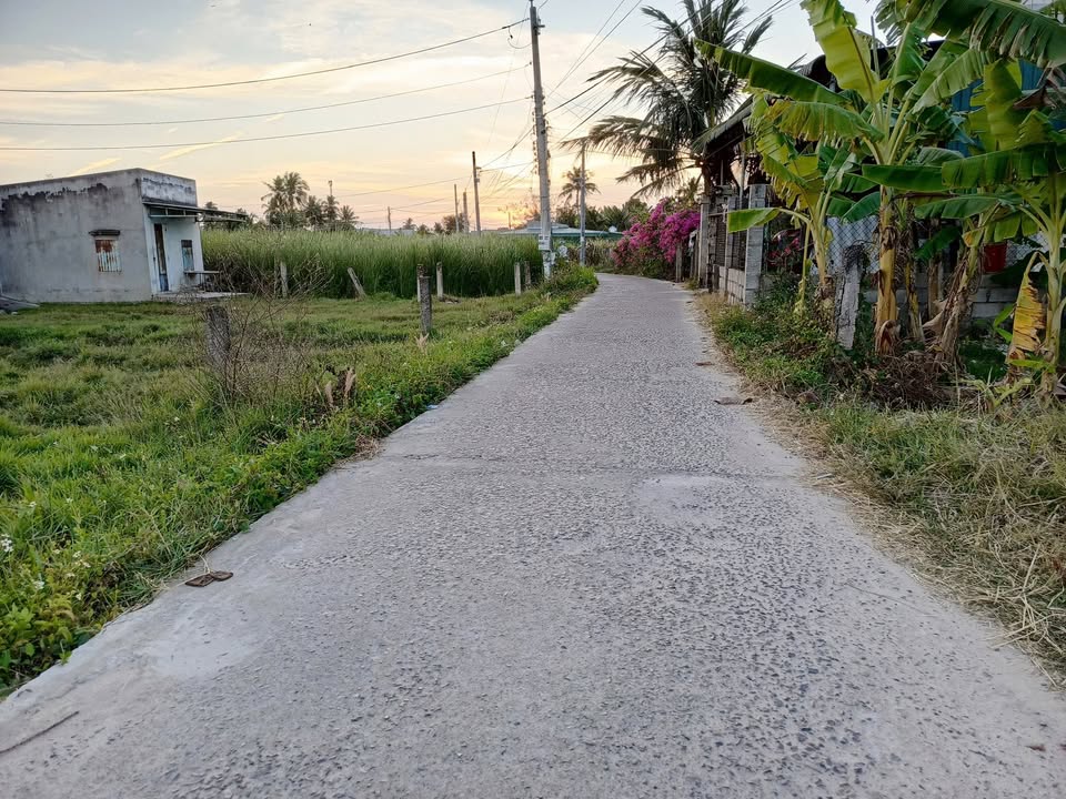 Đất Nền 2000m² Hàm Đức, Bình Thuận - Tiềm năng tăng giá