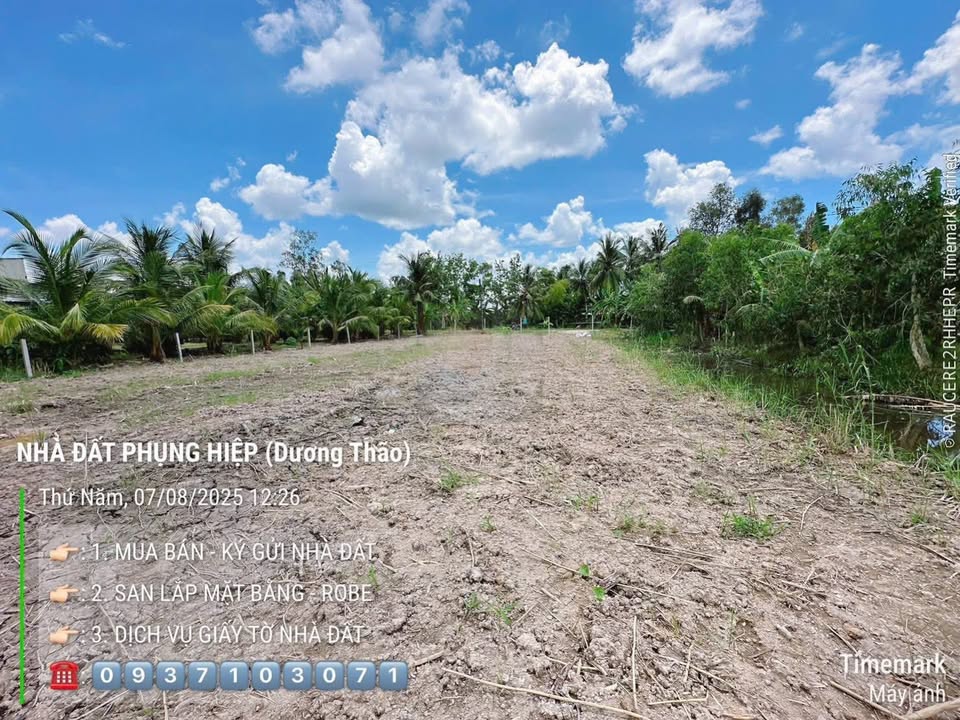Đất nền Phương Bình, Hậu Giang 1269m² giá 780 triệu - Tiềm năng tăng giá!