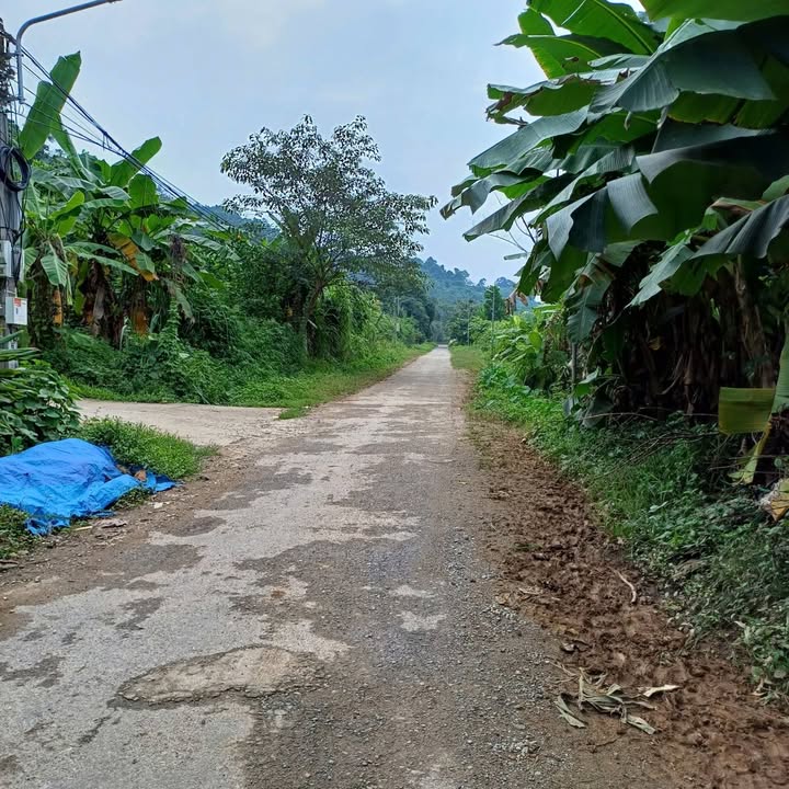 Đất TĐC Đồng Tuyển Lào Cai 100m² giá 1.399 tỷ - Sổ đỏ chính chủ