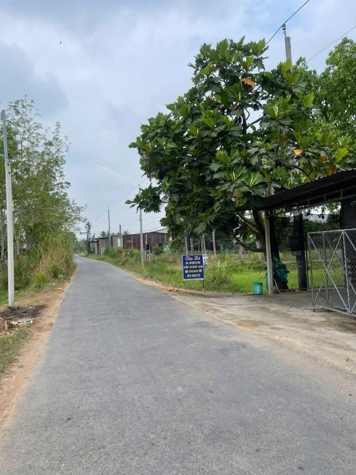 Đất nền Trảng Bàng, Tây Ninh - 45m² thổ cư, 750 triệu - Sẵn sổ đầu tư