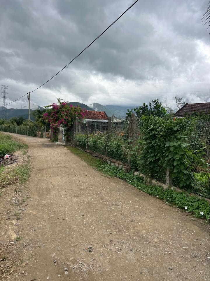 Bán Gấp Đất Nền Diên Điền, Diên Khánh 260m² - Sổ Đỏ Vuông Vắn, Giá F0 1.69 Tỷ