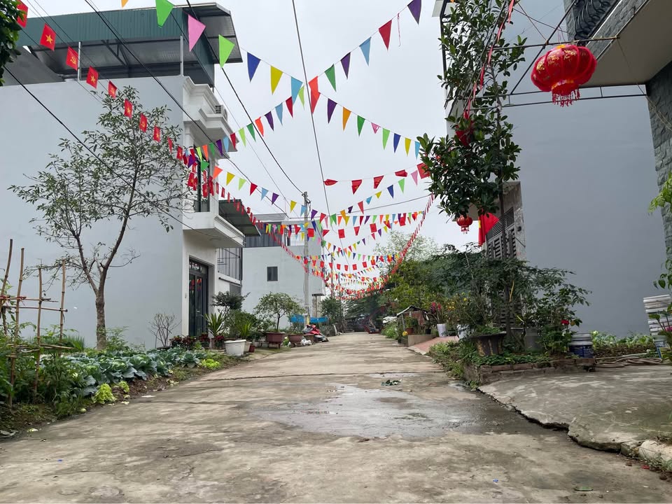 Mặt Tiền Kinh Doanh 62m² Sơn Đồng, Hoài Đức - Giá Tốt