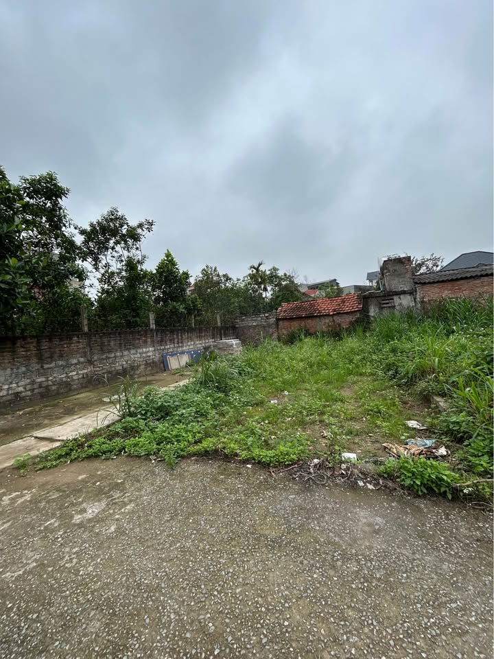 Đất nền Tích Lộc, Phúc Thọ 61m² - Tiềm năng tăng giá vượt trội!