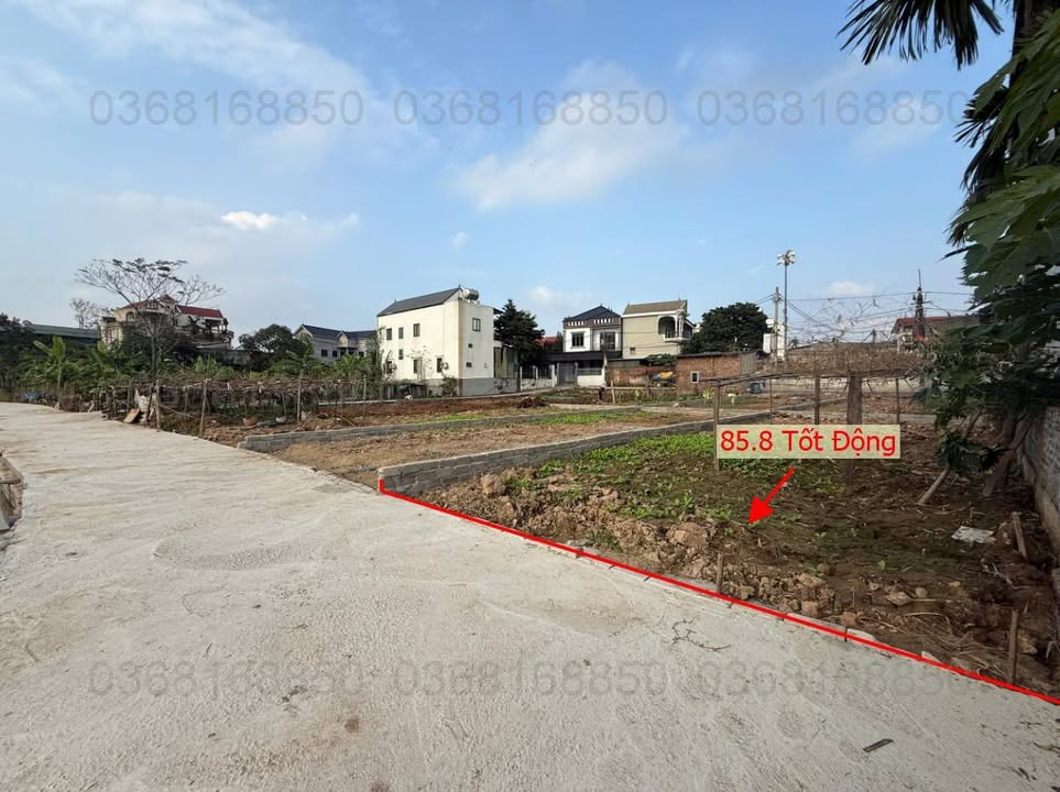 Bán Đất Tốt Động, Chương Mỹ 85.8m² Full Thổ Cư - Ô tô Tận Đất