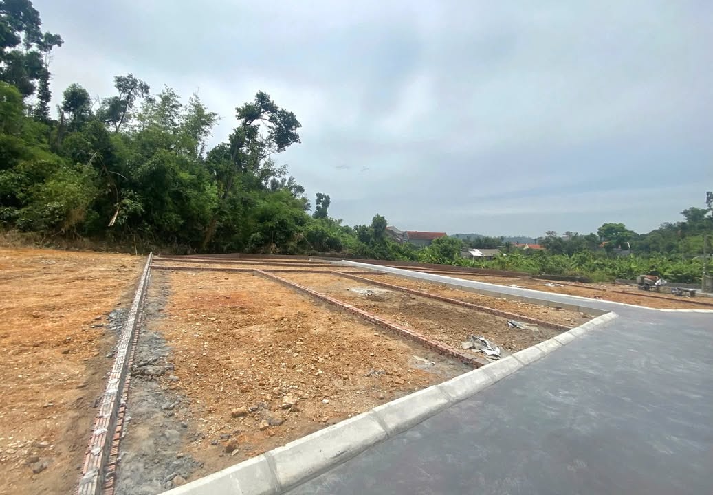 Đất Lưu Kiếm, Thủy Nguyên 60m² - Sổ Đỏ Sẵn Sàng, Ô Tô Quay Đầu