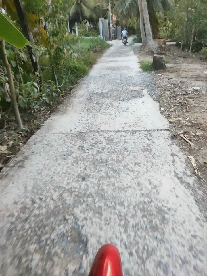 Đất Lương Hòa Giồng Trôm 548m² - Sổ đỏ chính chủ, tiềm năng sinh lời