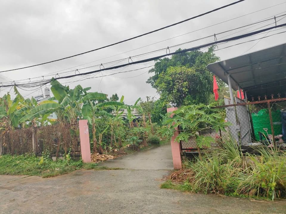 Nhà Thạnh Phú Bến Tre 82m² giá 1.3 tỷ - Sổ hồng chính chủ, ở ngay!