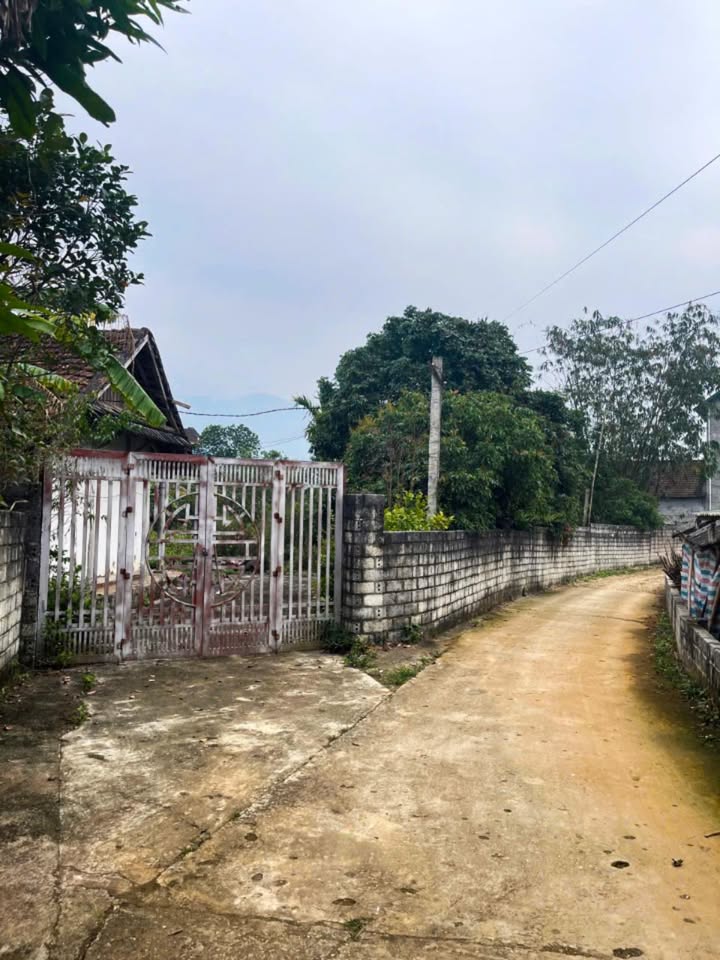 Đất nền Thiện Kế Sơn Dương 1500m² giá 1.6 tỷ - Sổ đỏ chính chủ!