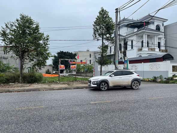 Đất nền 115.5m² Chí Linh, Hải Dương - Vị trí vàng kinh doanh!