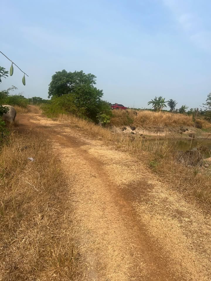 Đất nền Ninh Sơn, Tây Ninh 4650m² giá 1 tỷ - Tiềm năng lớn!