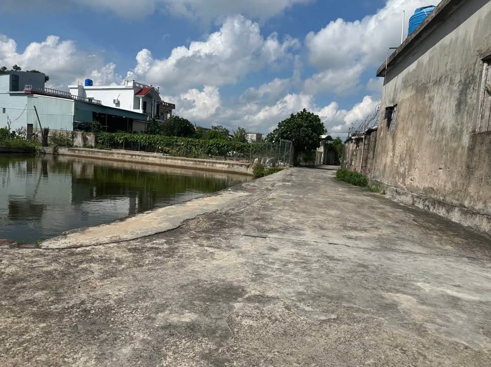 Đất nền Bình Thanh, Kiến Xương 100m² – Đất thổ cư 100%, chỉ 300 triệu!