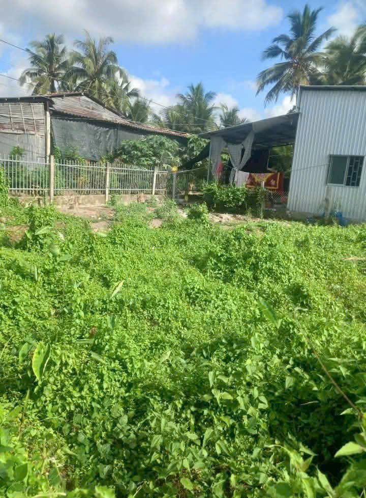 Đất Nền Sổ Hồng Riêng - 140m² Tại Cai Lậy, Tiền Giang - Giá 3.2 Tỷ