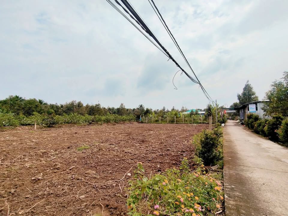 Đất nền Bình Trưng 125m² - Sổ đỏ chính chủ, 3xx triệu