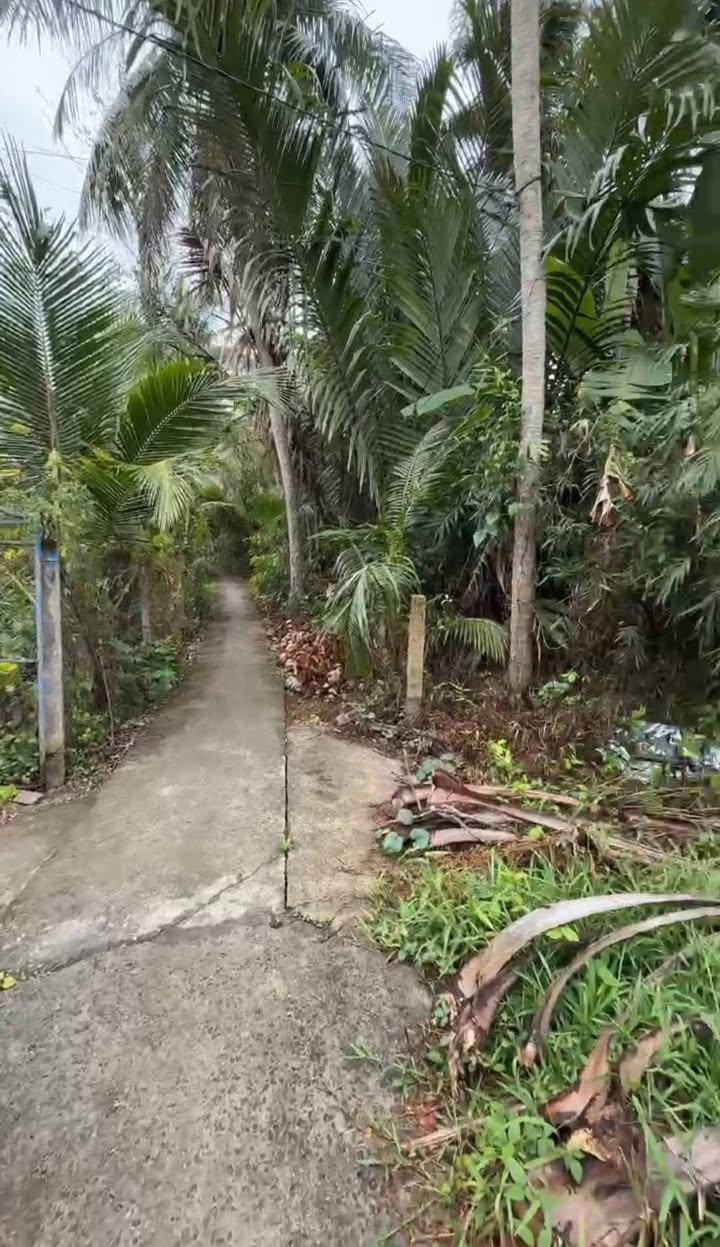 Đất Nền Sổ Hồng Riêng 130m² Tại Châu Thành, Tiền Giang - Giá 290 Triệu