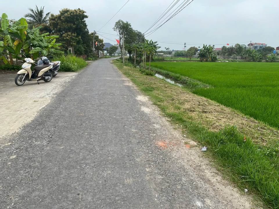 Đất nền Thuần Thành - Thái Thụy 182m² - Sẵn sổ, kinh doanh tốt