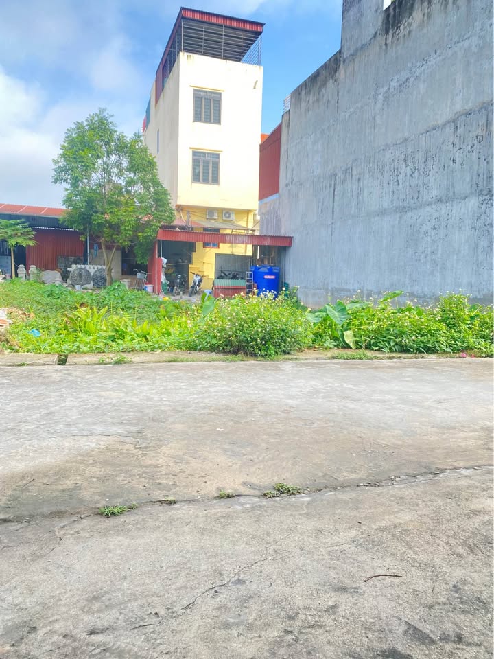 Bán Đất Thụy Sơn, Thái Thụy: 100m² Vuông Vắn, Hai Mặt Tiền, Giá 1 Tỷ