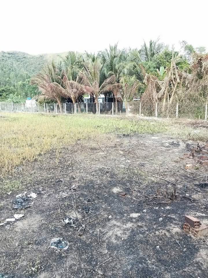 Đất Vạn Lương, Khánh Hòa 2970m² - Sổ Đỏ Thổ Cư, Gần QL1A