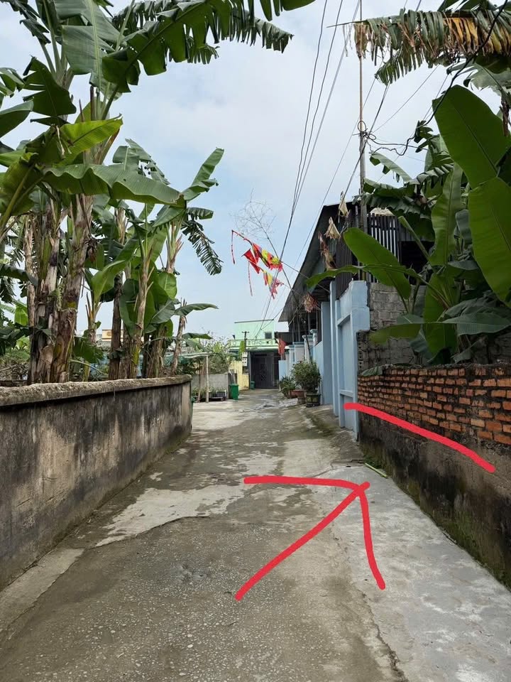 Đất nền Quảng Tâm 142m² chỉ 800 triệu - Sổ đỏ chính chủ