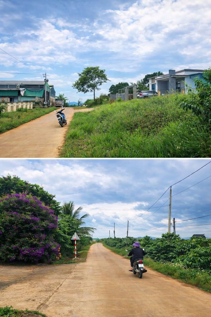 Bán Đất Bảo Lộc 462m² Hướng Đông Nam - Sổ Đỏ Chính Chủ