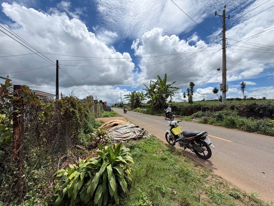 Bán Đất Mặt Tiền Tứ Quý - Lộc An, Bảo Lâm 3000m² - Sẵn 100m² Thổ Cư, Giá 4.2 Tỷ