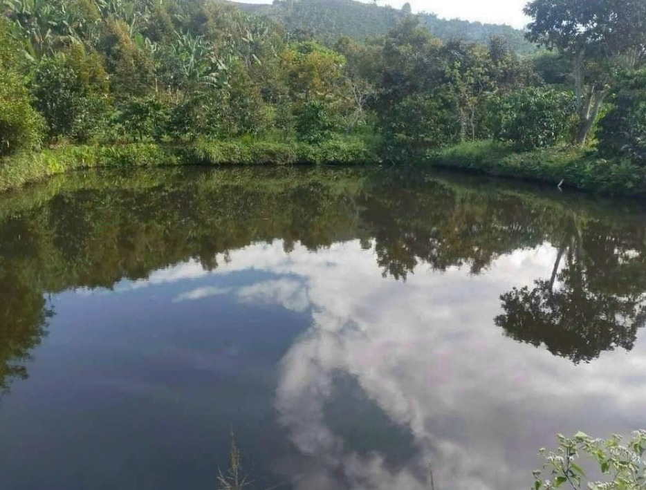 Đất Vườn Tân Lạc Bảo Lâm 3300m² giá 1.85 tỷ - Nghỉ dưỡng lý tưởng!