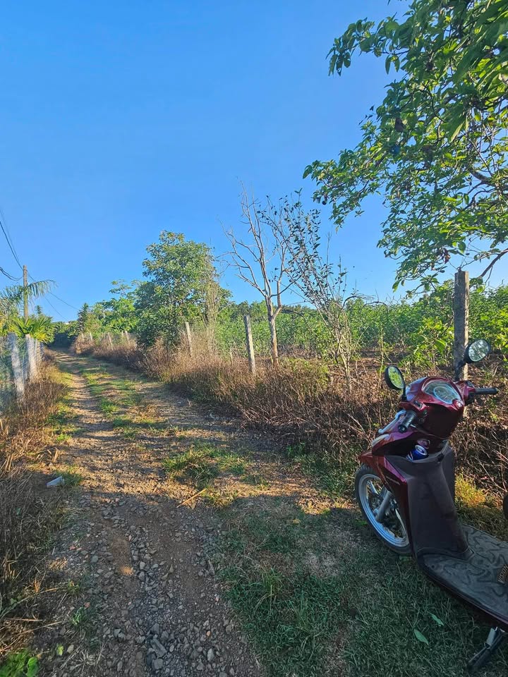 Đất nền Bảo Lâm 1050m² (Lộc Đức) - Vuông vắn, ô tô tận nơi, giá 1.1 tỷ