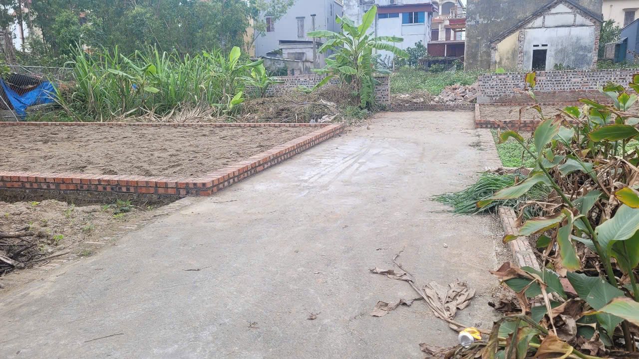 Bán Đất Xuân Nộn Đông Anh 46m² - Ngõ Ô Tô Ngủ Trong Đất, Giá Hời