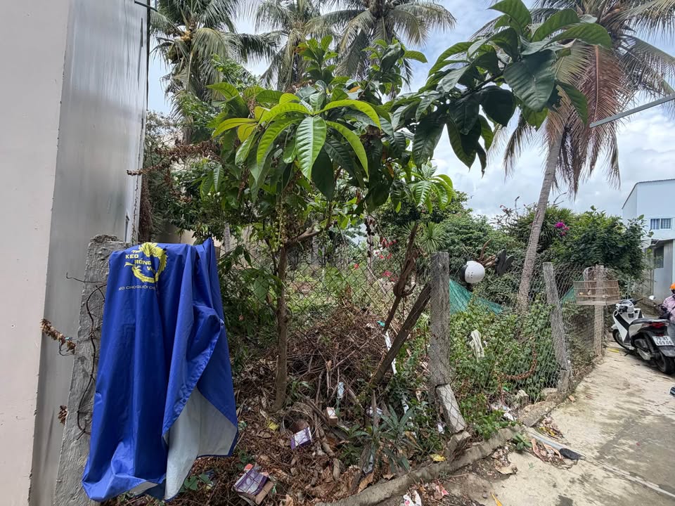 Đất Vĩnh Ngọc 155m² - Sổ Đỏ Thổ Cư 30m² - Giá 1.8 Tỷ