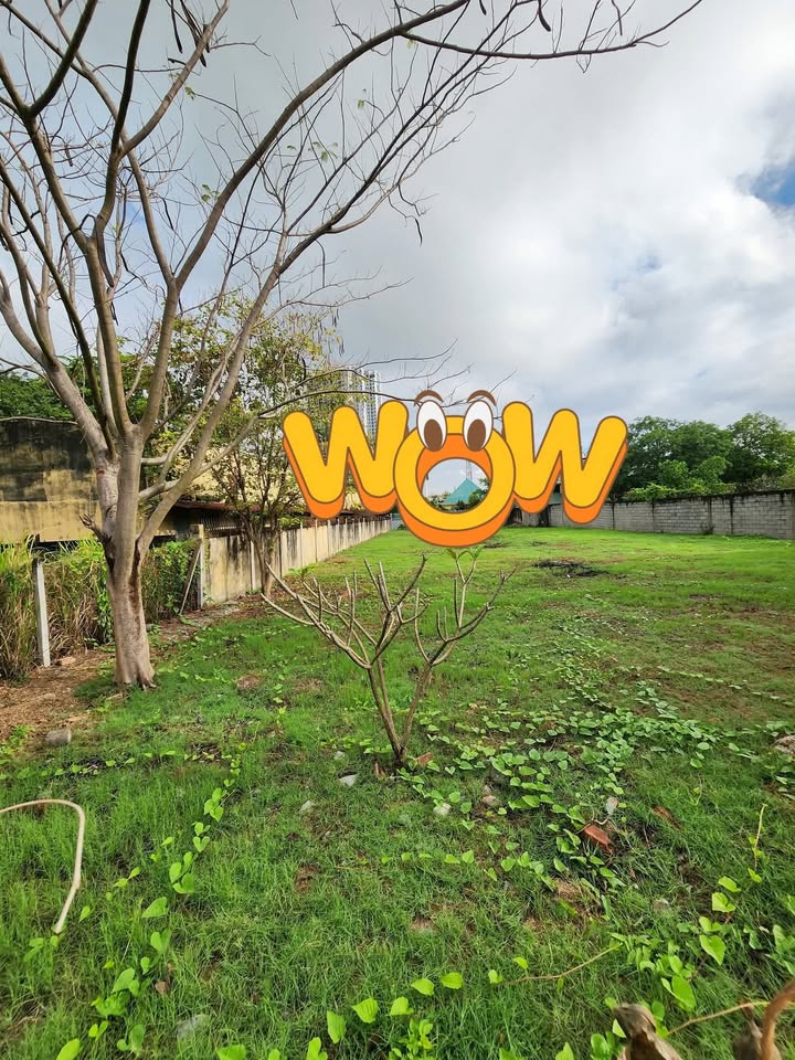 Cho thuê đất Vĩnh Phú, Thuận An 1000m² - Xe Container vào tận nơi, giá 25 triệu/tháng