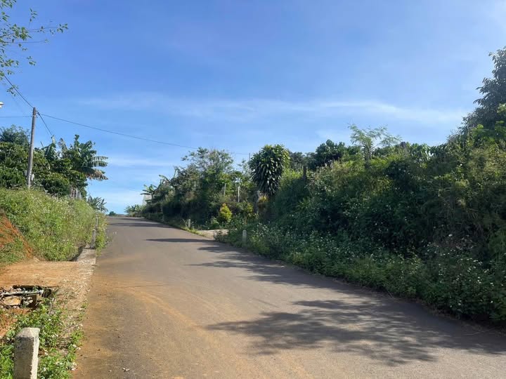 Bán Đất Nền 2900m² Bảo Lâm, Lâm Đồng - Mặt Tiền Rộng, Full Thổ Cư