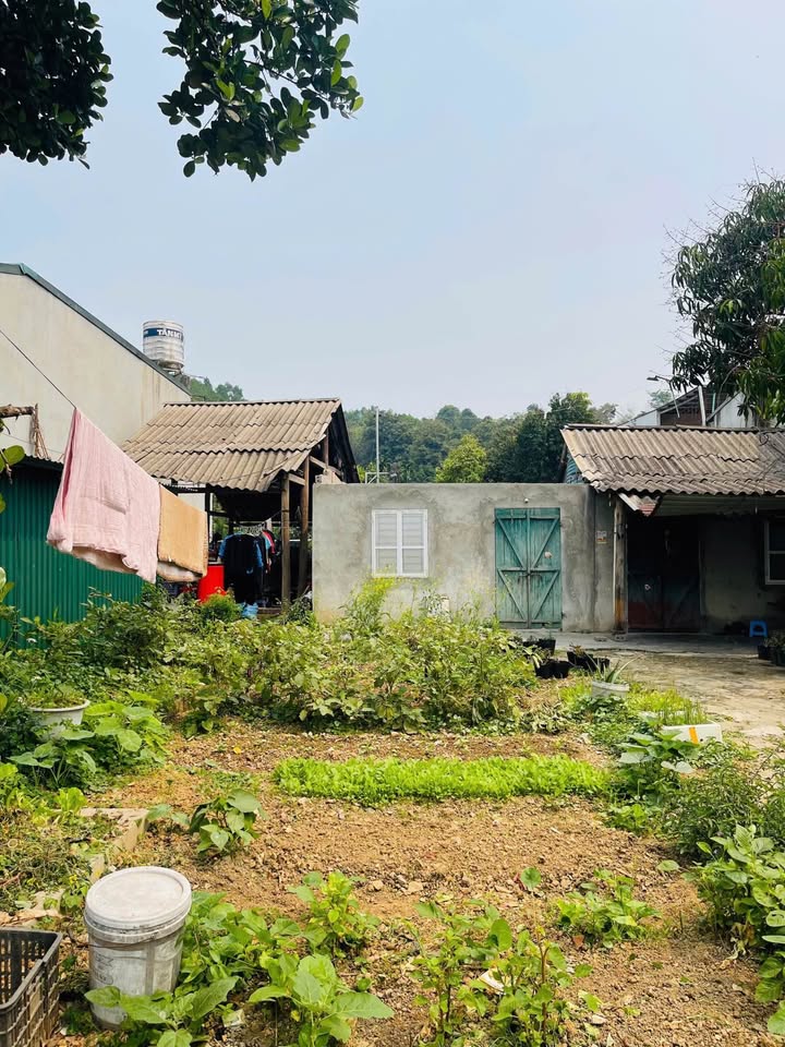 Đất nền Nguyễn Cao Luyện, Lào Cai 100m² - 2 Mặt Thoáng, Sẵn Sổ Hồng