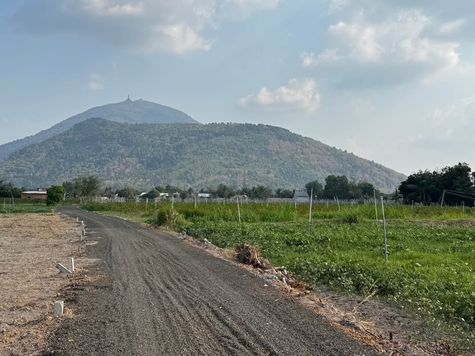 Đất nền Ninh Sơn 100m² – Xây dựng tự do, giá chỉ 230 triệu!