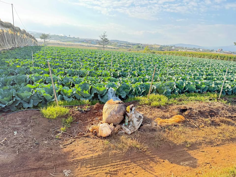 Đất Sào Ka Đô, Đơn Dương 23600m² - Đường to ô tô, Sổ đỏ chính chủ!