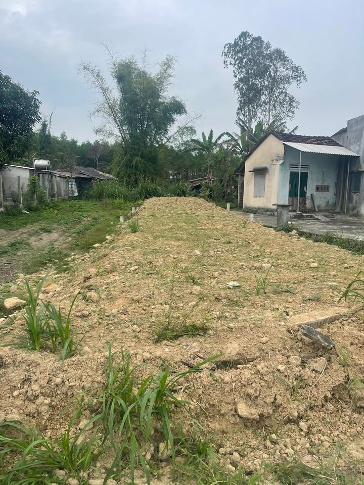 Đất Mặt Tiền Kinh Doanh 150m² Đường Chợ Mới Tịnh Hà, Sơn Tịnh - Giá 699 Triệu