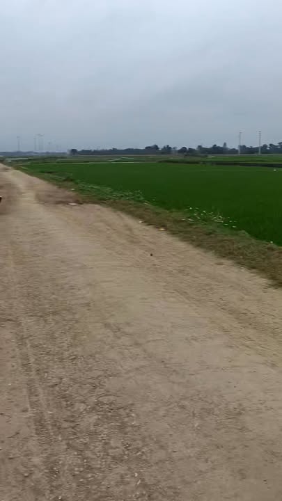 Nhà Mặt Tiền Kinh Doanh 125m² Đường Thông Tư, TP. Thanh Hóa - Giá 6xx Triệu