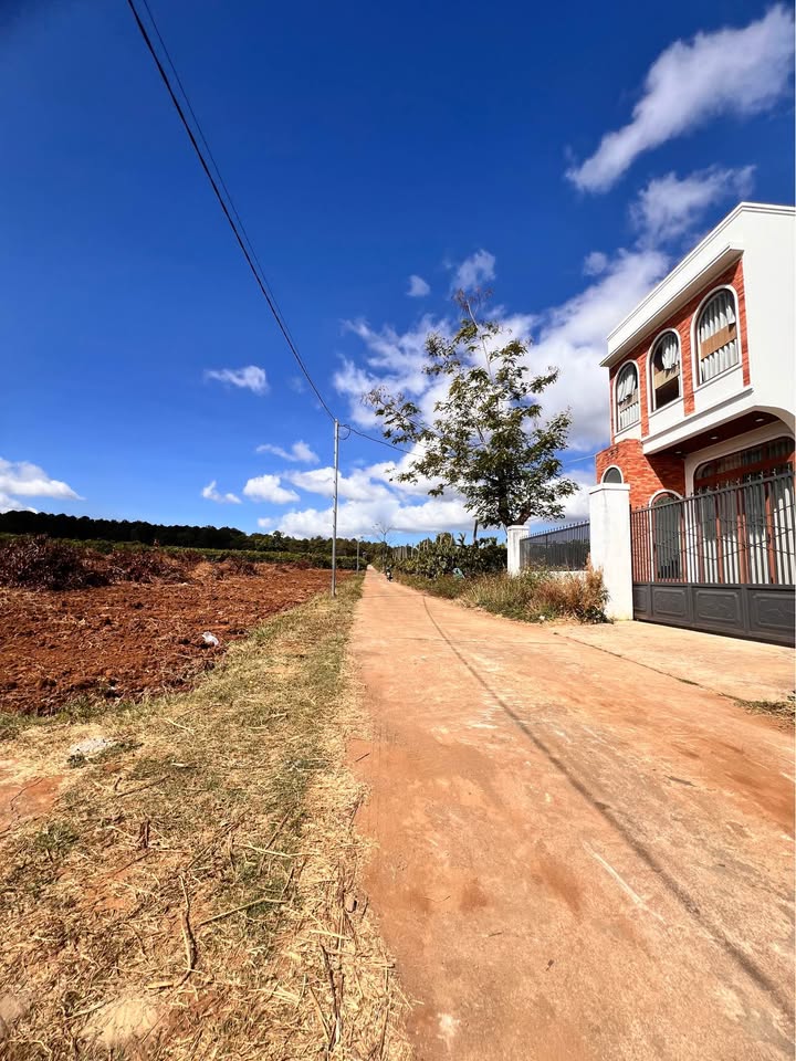 Bán đất Pleiku 175m² hẻm Hàn Thuyên - Đất thổ cư 100% giá cực tốt