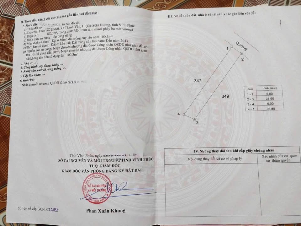 Đất Nền Tam Dương 180m² - Tiềm Năng Tăng Giá Vượt Trội!