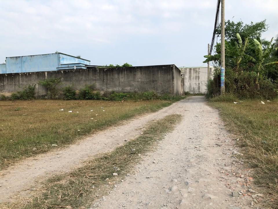 Đất nền 132m² Ấp 1 Mỹ Hạnh Nam, Đức Hòa - Sổ đỏ chính chủ