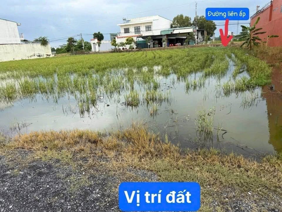 Bán Đất F0 Mỹ Yên, Long An: 95m² Sổ Sẵn, Giá 1.15 Tỷ - Sẵn Sàng Xây Dựng