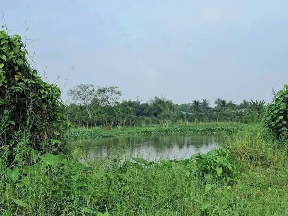 Đất nền Tây Ninh 560m² giá 4.9 tỷ - Sổ đỏ chính chủ, công chứng ngay!