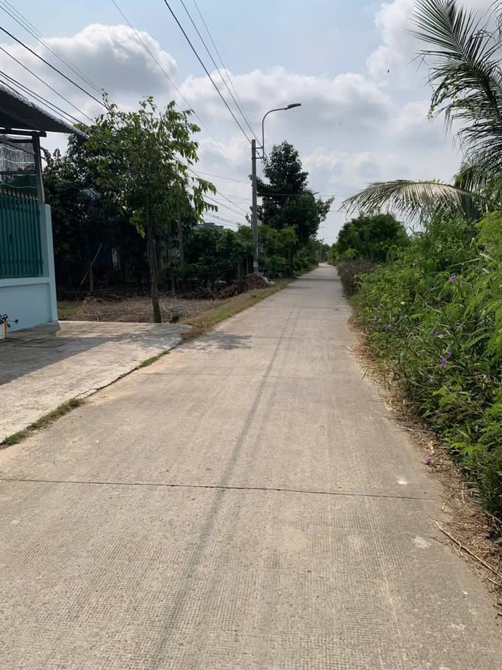 Đất Nền Mặt Tiền Liên Ấp 1-2 Gò Dầu, Tây Ninh 150m² - Giá Tốt