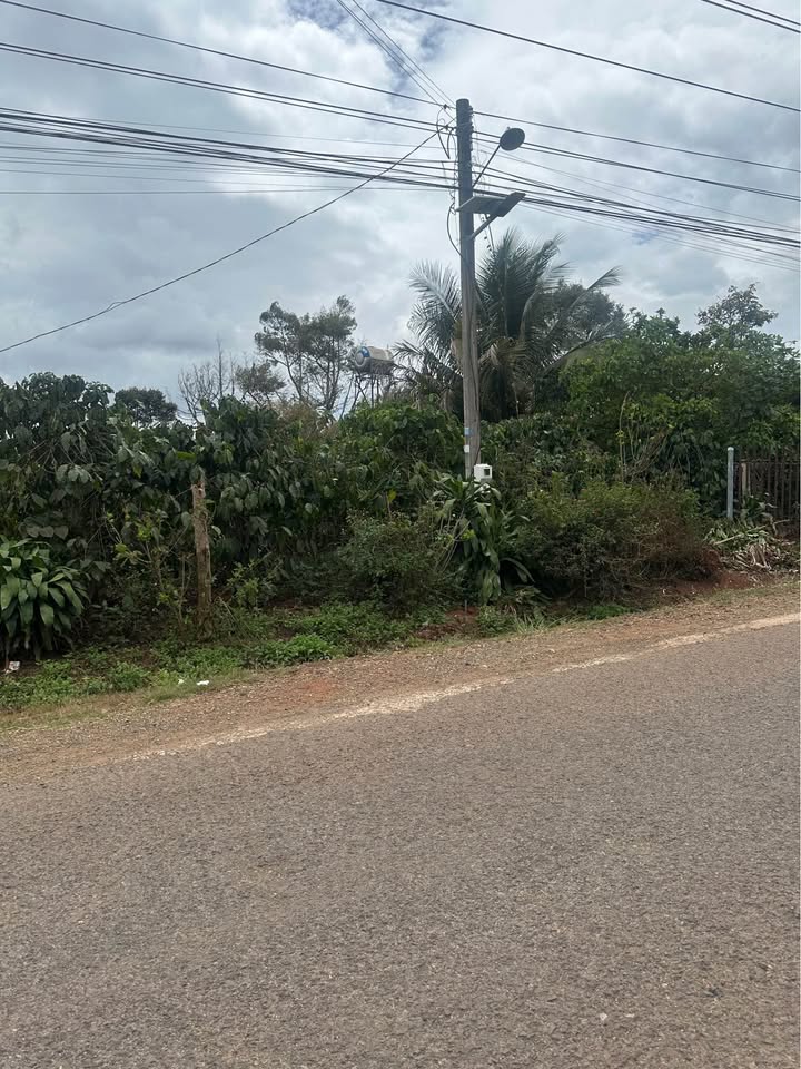 Đất vườn Di Linh 1800m² giá 3.x tỷ - Tiềm năng nghỉ dưỡng tuyệt vời!