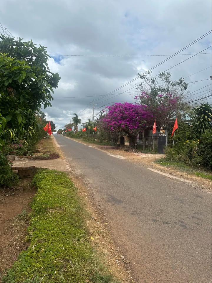 Bán Đất Nền Bảo Thuận Di Linh 224m² Giá 1 Tỷ - Sổ Đỏ Chính Chủ