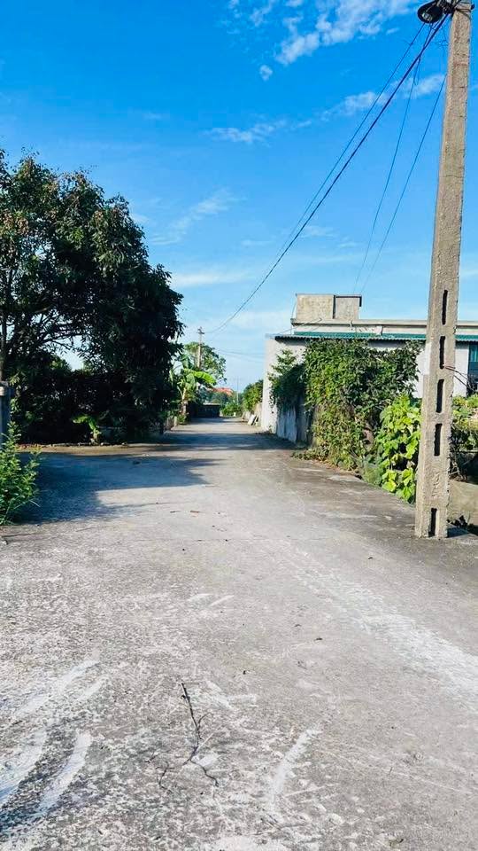 Đất nền Nam Thắng Tiền Hải 100m² giá 300 triệu - Sổ đỏ chính chủ