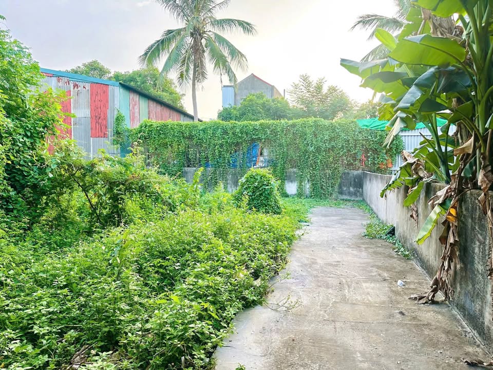 Bán Đất Lô Góc 2 Mặt Kiệt Chi Lăng, Huế - 76m² - 1.1 Tỷ