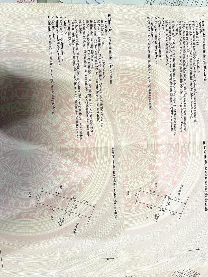 Đất nền Quảng Lợi, Huế 123m² - Tiềm năng tăng giá vượt trội!