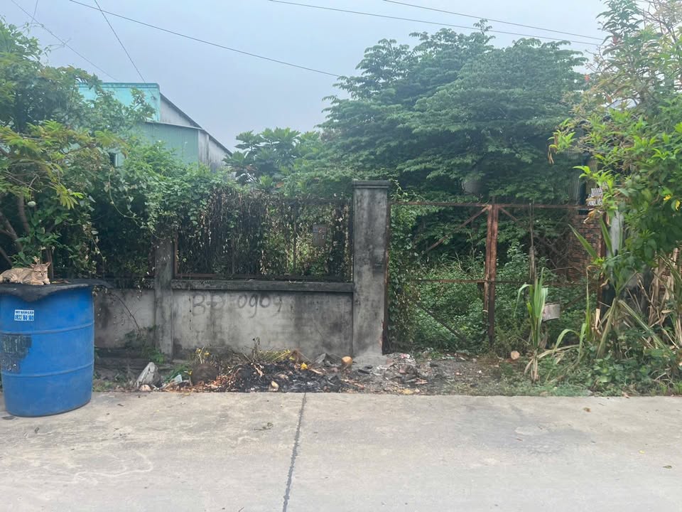 Đất nền Tân Thạnh Đông Củ Chi 430m² - Đất thổ cư 100%!