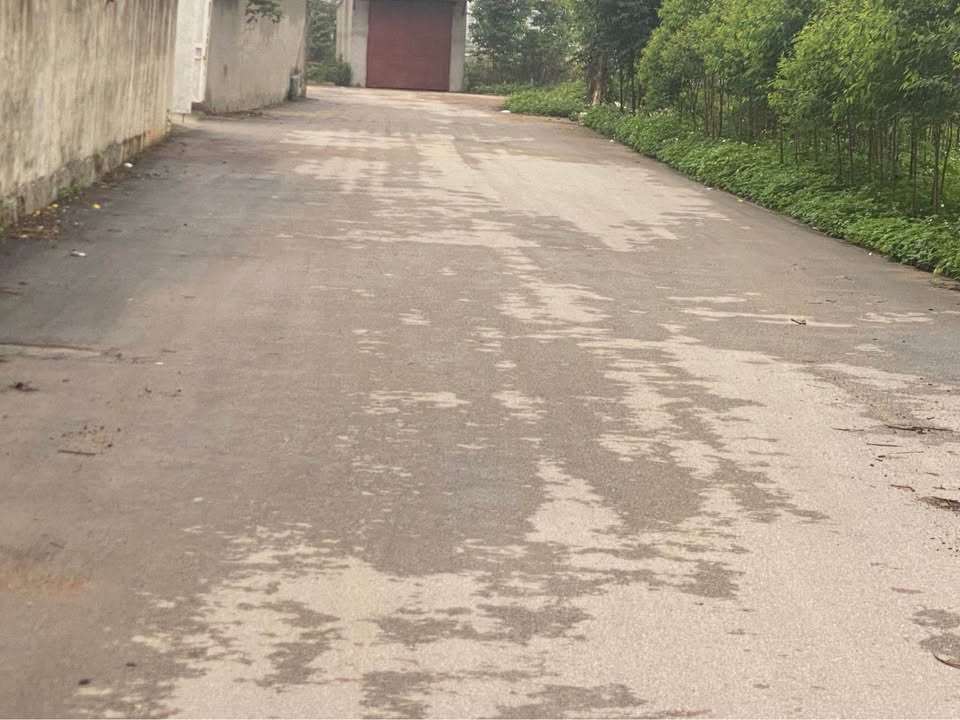 Bán Đất Lãm Trại Quế Võ 64m² Mặt Tiền Rộng - Giá Hơn 2 Tỷ