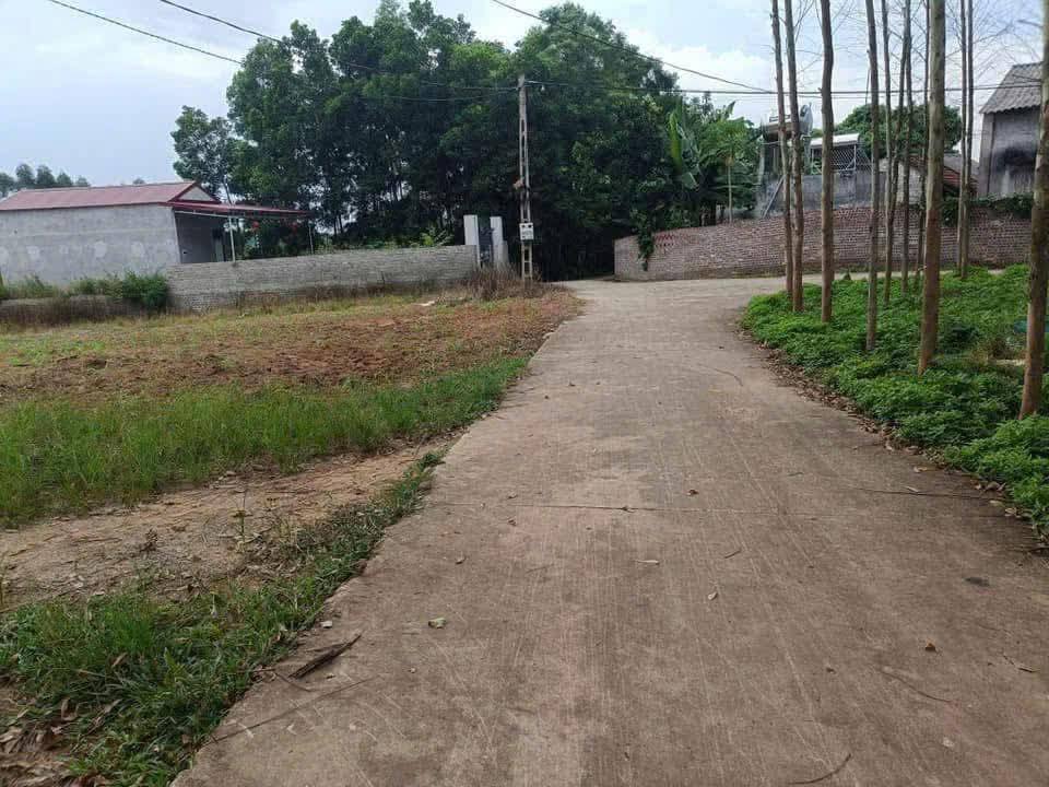 Đất nền Đồng Nhân, Yên Thế 300m² chỉ 799 triệu - Sổ đỏ chính chủ!