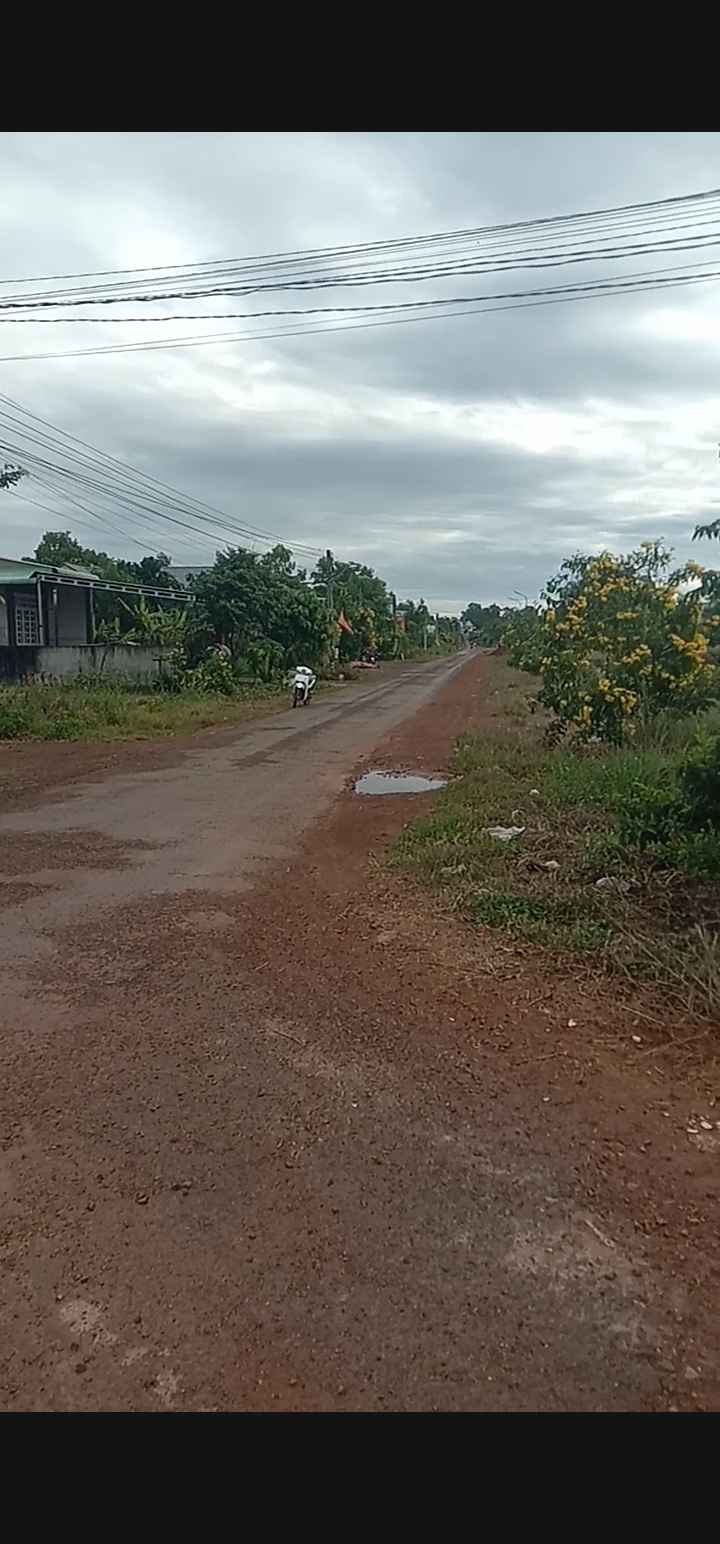 Đất nền Đồng Phú 15000m² - Tiềm năng tăng giá vượt trội!